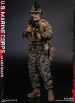 画像7: DAMTOYS 1/6 アメリカ海兵隊 マークスマン 選抜射手 アクションフィギュア 78102 *予約