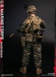 画像5: DAMTOYS 1/6 アメリカ海兵隊 マークスマン 選抜射手 アクションフィギュア 78102 *予約