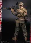 画像6: DAMTOYS 1/6 アメリカ海兵隊 マークスマン 選抜射手 アクションフィギュア 78102 *予約