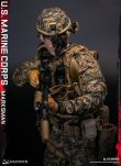 画像9: DAMTOYS 1/6 アメリカ海兵隊 マークスマン 選抜射手 アクションフィギュア 78102 *予約