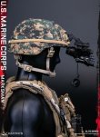 画像30: DAMTOYS 1/6 アメリカ海兵隊 マークスマン 選抜射手 アクションフィギュア 78102 *予約