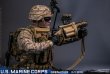 画像45: DAMTOYS 1/6 アメリカ海兵隊 グレナディア 擲弾兵 アクションフィギュア 78101 *予約