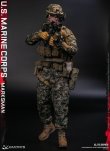 画像10: DAMTOYS 1/6 アメリカ海兵隊 マークスマン 選抜射手 アクションフィギュア 78102 *予約