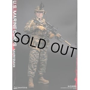 画像: DAMTOYS 1/6 アメリカ海兵隊 マークスマン 選抜射手 アクションフィギュア 78102 *予約