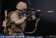 画像42: DAMTOYS 1/6 アメリカ海兵隊 グレナディア 擲弾兵 アクションフィギュア 78101 *予約