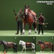 画像1: ACG TOYS 1/12 荷馬 アクションフィギュア用 3種 ACG-45 *予約