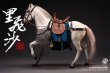 画像32: 303TOYS 1/12 掌上三国 五虎上将 馬超孟起 アクションフィギュア 里飛沙 戦馬 戦旗 SG004 SG004-B *予約