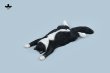 画像10: JXK Studio 1/6 寝そべりネコ 猫 4種 JXK206 *予約