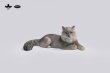 画像2: JXK Studio メインクーン 猫 ネコ ミニ フィギュア 4種 JS2310 *お取り寄せ