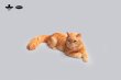 画像10: JXK Studio メインクーン 猫 ネコ ミニ フィギュア 4種 JS2310 *お取り寄せ