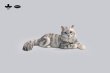 画像4: JXK Studio メインクーン 猫 ネコ ミニ フィギュア 4種 JS2310 *お取り寄せ