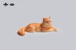 画像9: JXK Studio メインクーン 猫 ネコ ミニ フィギュア 4種 JS2310 *お取り寄せ