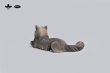 画像3: JXK Studio メインクーン 猫 ネコ ミニ フィギュア 4種 JS2310 *お取り寄せ