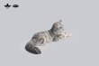 画像5: JXK Studio メインクーン 猫 ネコ ミニ フィギュア 4種 JS2310 *お取り寄せ