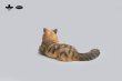 画像8: JXK Studio メインクーン 猫 ネコ ミニ フィギュア 4種 JS2310 *お取り寄せ