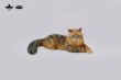 画像7: JXK Studio メインクーン 猫 ネコ ミニ フィギュア 4種 JS2310 *お取り寄せ