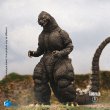 画像7: HIYA 『ゴジラvsキングギドラ』ゴジラ ≪北海道 Ver.≫ 18cm 可動フィギュア EBG0276 *予約