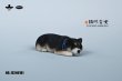 画像14: JxK Studio 1/12 SMALL フロッキング 柴犬 JS2401 *予約