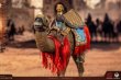 画像24: HHMODEL x HAOYUTOYS 1/6 ペルシア駱駝騎兵 アクションフィギュア *予約