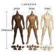 画像1: DT 1/6 男性用素体 スーパー ムーバブル ボディ 3種 アクションフィギュア用 DT001B / DT002S / DT003W *予約