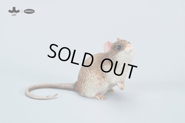  ぬいぐるみ　little Mouse リトルマウス　ねずみ　鼠 Amazon.co.jp: Arrowbash ネズミぬいぐるみ 5点セット 14インチ