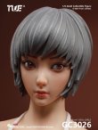 画像3: True1Toys 1/6 女性素体 ヘッド付き 眼球可動 フィメール ドール ベーシック セット 2種*予約