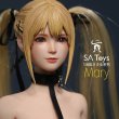 画像16: SA Toys 1/6 メアリー コンバットガール アクションフィギュア M001 *予約