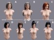 画像34: YMTOYS 1/6 アジアン ビューティー 女性ヘッド 眼球可動 7種 YMT106 *予約 