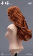 画像14: YMTOYS 1/6 アジアン ビューティー 女性ヘッド 眼球可動 7種 YMT106 *予約 