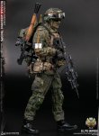 画像1: DAMTOYS 1/6 ロシア空挺部隊 VDV アントノフ国際空港 シニアライフルマン アクションフィギュア 78105 *予約