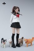 画像15: JXK Studio 1/6 家猫 6.0 猫 4種 JXK234 *予約