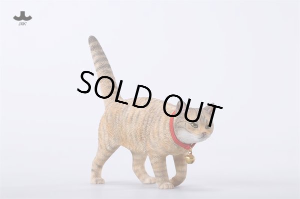 JXK Studio 1/6 家猫 7.0 イエネコ JXK238 A B C D フィギュア