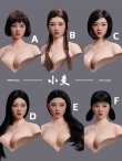 画像1: YMTOYS 1/6 アジアン フィメール 女性 “ 小麦 ” ヘッド 眼球可動 6種 YMT108 *予約 