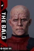 画像4: PRESENT TOYS 1/6 The Bald 男性 ヘッド PT-sp88 *予約