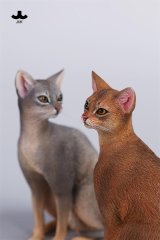 画像: JXK Studio 1/6 アビシニアン 2種 JXK248 *お取り寄せ