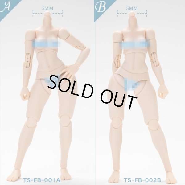 画像1: Tunshi Studio 1/12 女性 素体 ボディ ≪ラージバスト≫ ≪スモールバスト≫ アクションフィギュア 2種 TS-FB-001 A / TS-FB-002 B *予約　