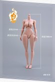 画像5: Pepper Doll 1/6 女性素体 Cartoon Female Action Figure Body アクションフィギュア ボディ WB01A *予約