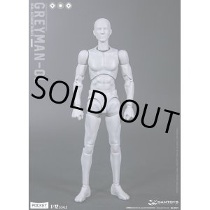 画像: DAMTOYS 1/12 グレーマン GREYMAN 男性 素体 ボディ アクションフィギュア DPS11 *予約