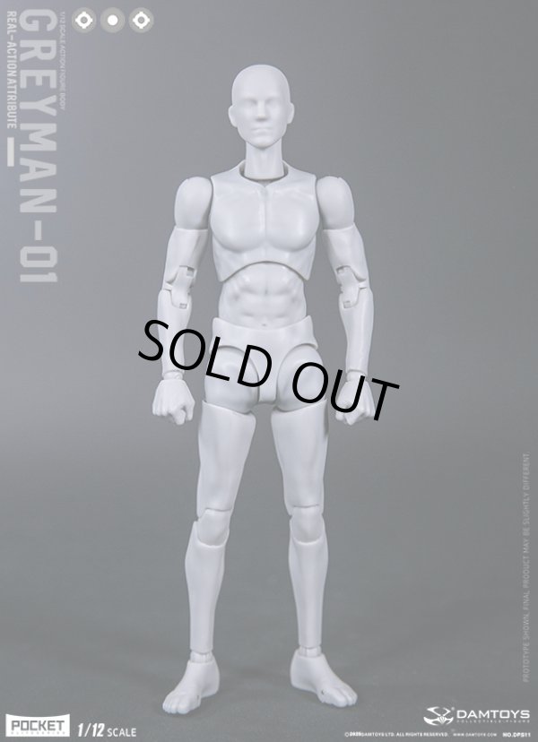 画像1: DAMTOYS 1/12 グレーマン GREYMAN 男性 素体 ボディ アクションフィギュア DPS11 *予約