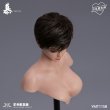 画像10: YMTOYS 1/6 セクシー ビューティー ヘッド ウールヘアver. 3種 YMT115 *予約