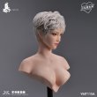 画像5: YMTOYS 1/6 セクシー ビューティー ヘッド ウールヘアver. 3種 YMT115 *予約
