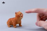 画像: JXK 1/6 子猫 3種 JXK277 *予約 