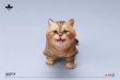 画像2: JXK 1/6 子猫 3種 JXK277 *予約 