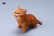 画像9: JXK 1/6 子猫 3種 JXK277 *予約 