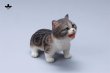 画像16: JXK 1/6 子猫 3種 JXK277 *予約 