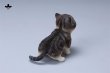 画像17: JXK 1/6 子猫 3種 JXK277 *予約 