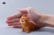 画像13: JXK 1/6 子猫 3種 JXK277 *予約 