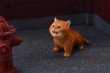 画像20: JXK 1/6 子猫 3種 JXK277 *予約 