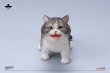 画像14: JXK 1/6 子猫 3種 JXK277 *予約 