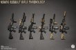 画像1: Easy & Simple 1/6 NSWDG アサルトライフル Assault Rifle Chronology (A-F) *予約